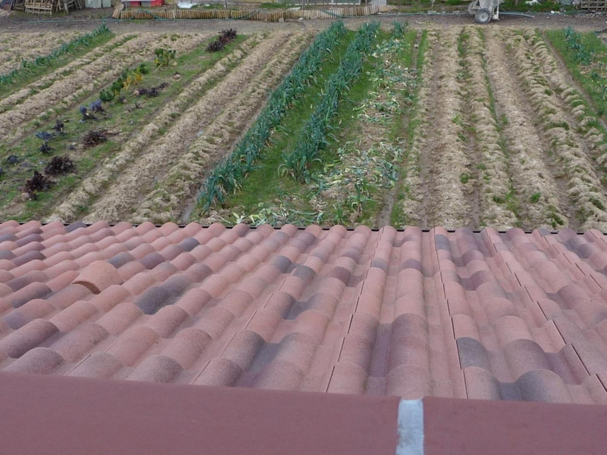 Chambre D'Hote Fleur De Potager Les Sables-d'Olonne Exterior photo